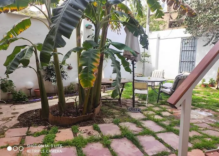 Cozy Apartamento En Ruzafa Para 2-4 Personas Con Aire Acondicionado Y Salida Directa A Terraza