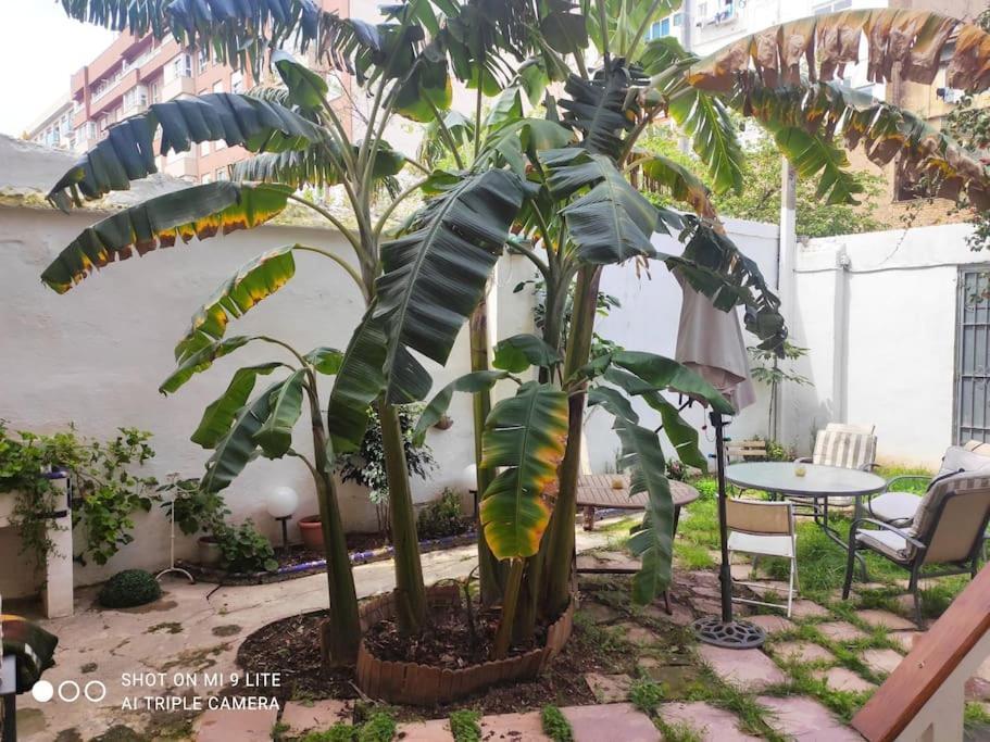 Appartement Cozy En Ruzafa 2-4 Personas Con Aire Acondicionado Y Salida Directa A Terraza Valence